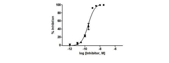 US Biological Cathepsin L, Inhibitor Screening BioAssay™ Kit (Fluorometric) (CTSL) SKU: 219614 package