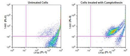 US Biological Cell-Mediated Cytotoxicity, Fluorometric BioAssay™ Kit (7-AAD, CFSE) SKU: 301191 package