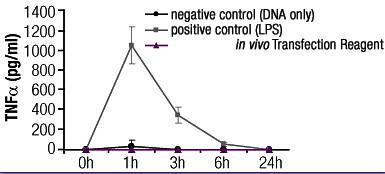 US Biological Transfection Reagent (in vivo) SKU: T8198-02 package